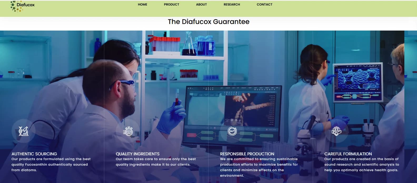 Web & Digital Experiences